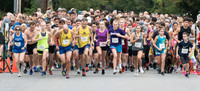 Applefest 5K